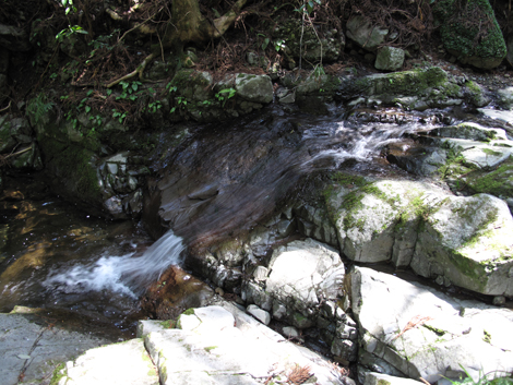 20140419hike (40)